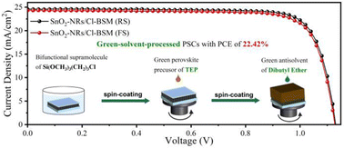 Graphical abstract: Green-solvent-processed formamidinium-based perovskite solar cells with uniform grain growth and strengthened interfacial contact via a nanostructured tin oxide layer