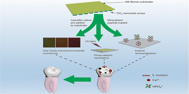 Graphical abstract: A bio-inspired versatile free-standing membrane for oral cavity microenvironmental monitoring and remineralization to prevent dental caries