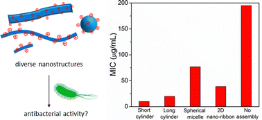 Graphical abstract: Elucidating the role of multivalency, shape, size and functional group density on antibacterial activity of diversified supramolecular nanostructures enabled by templated assembly