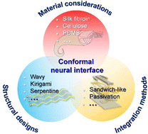 Graphical abstract: Bioactive polymer-enabled conformal neural interface and its application strategies