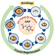 Graphical abstract: Crystal regeneration – a unique growth phenomenon observed in organic crystals post breakage