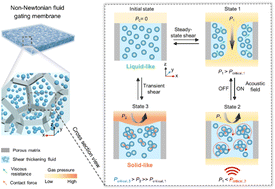 Graphical abstract: Non-Newtonian fluid gating membranes with acoustically responsive and self-protective gas transport control