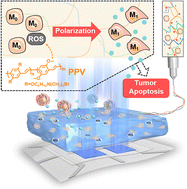 Graphical abstract: A biophotonic device based on a conjugated polymer and a macrophage-laden hydrogel for triggering immunotherapy