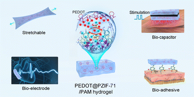 Graphical abstract: Bioadhesive and electroactive hydrogels for flexible bioelectronics and supercapacitors enabled by a redox-active core–shell PEDOT@PZIF-71 system