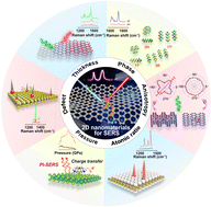 Graphical abstract: Spotting the driving forces for SERS of two-dimensional nanomaterials