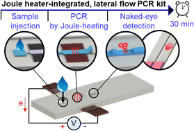 Graphical abstract: Rapid PCR kit: lateral flow paper strip with Joule heater for SARS-CoV-2 detection
