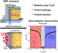 Graphical abstract: Retracted Article: Ambipolar operation of progressively designed symmetric bidirectional transistors fabricated using single-channel vertical transistor and electrochemically prepared copper oxide