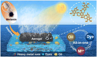 Graphical abstract: A melanin-inspired robust aerogel for multifunctional water remediation