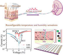Graphical abstract: Intelligent matter endows reconfigurable temperature and humidity sensations for in-sensor computing