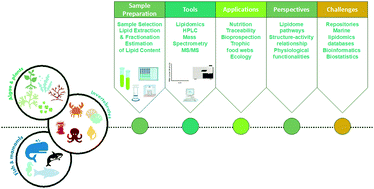 Graphical abstract: Applications of lipidomics in marine organisms: progress, challenges and future perspectives