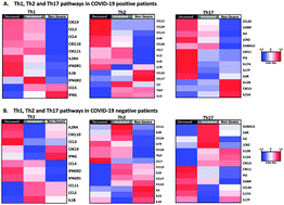 Graphical abstract: Th1, Th2 and Th17 inflammatory pathways synergistically predict cardiometabolic protein expression in serum of COVID-19 patients