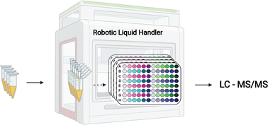 Graphical abstract: Advancements in automation for plasma proteomics sample preparation