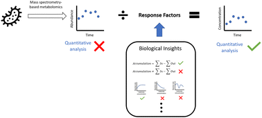 Graphical abstract: Towards inferring absolute concentrations from relative abundance in time-course GC-MS metabolomics data