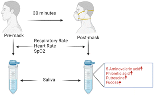 Graphical abstract: Effect of short-term use of FFP2 (N95) masks on the salivary metabolome of young healthy volunteers: a pilot study