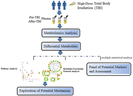 Graphical abstract: Plasma metabolomic signatures from patients following high-dose total body irradiation