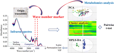 Graphical abstract: Geographical origin traceability of rice using a FTIR-based metabolomics approach