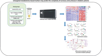 Graphical abstract: Untargeted metabolomics reveals altered branch chain amino acids, glucose and fat metabolism contributing to coronary artery disease among Indian diabetic patients