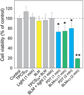 Graphical abstract: Proteomic analysis reveals mechanisms underlying increased efficacy of bleomycin by photochemical internalization in bladder cancer cells