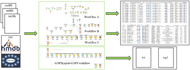 Graphical abstract: Development and application of a data processing method for food metabolomics analysis