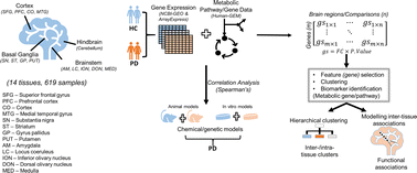 Graphical abstract: Brain-wide transcriptome-based metabolic alterations in Parkinson's disease: human inter-region and human-experimental model correlations