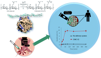 Graphical abstract: Biocompatible nanocarriers for passive transdermal delivery of insulin based on self-adjusting N-alkylamidated carboxymethyl cellulose polysaccharides