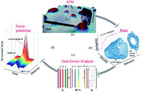 Graphical abstract: Quantifying nanoscale forces using machine learning in dynamic atomic force microscopy