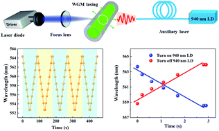 Graphical abstract: An all-optical tunable polymer WGM laser pumped by a laser diode