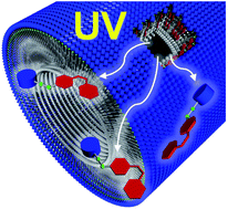 Graphical abstract: Photo-responsive hole formation in the monolayer membrane wall of a supramolecular nanotube for quick recovery of encapsulated protein