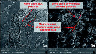 Graphical abstract: Field-induced rheological characterization of nano/micro-scaled suspensions based on a multi-peak fitting method