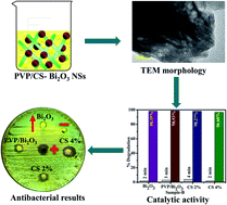 Graphical abstract: Evaluation of bactericidal potential and catalytic dye degradation of multiple morphology based chitosan/polyvinylpyrrolidone-doped bismuth oxide nanostructures