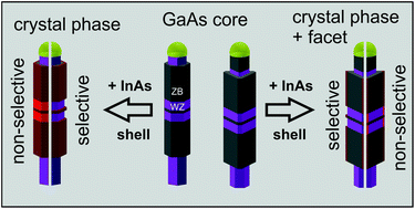 Graphical abstract: Growth selectivity control of InAs shells on crystal phase engineered GaAs nanowires