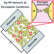 Graphical abstract: Brain-like critical dynamics and long-range temporal correlations in percolating networks of silver nanoparticles and functionality preservation after integration of insulating matrix