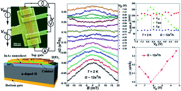 Graphical abstract: Electrically tunable spin–orbit interaction in an InAs nanosheet