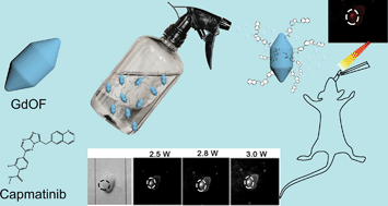 Graphical abstract: Rare earth nanoparticles for sprayed and intravenous NIR II imaging and photodynamic therapy of tongue cancer