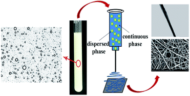 Graphical abstract: Emulsion electrospinning of sodium alginate/poly(ε-caprolactone) core/shell nanofibers for biomedical applications