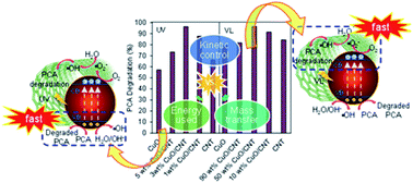 Graphical abstract: New insight into the kinetic study on the different loadings of the CuO/CNT catalyst and its optimization for p-chloroaniline photodegradation