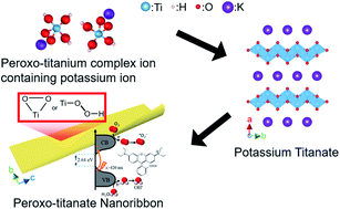 Graphical abstract: A facile bottom-up method for synthesis of peroxo-potassium titanate nanoribbons and visible light photocatalytic activity derived from a peroxo-titanium bond