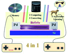 Graphical abstract: Bi2O2Se-based integrated multifunctional optoelectronics