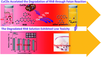Graphical abstract: Copper-doped carbon dots with enhanced Fenton reaction activity for rhodamine B degradation