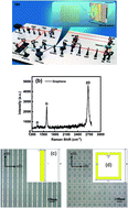 Graphical abstract: Graphene-based terahertz bias-driven negative-conductivity metasurface