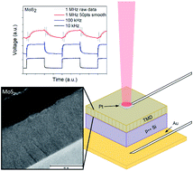 Graphical abstract: Ultrafast photoresponse of vertically oriented TMD films probed in a vertical electrode configuration on Si chips