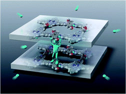 Graphical abstract: Porphyrin covalent organic nanodisks synthesized using acid-assisted exfoliation for improved bactericidal efficacy