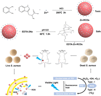 Graphical abstract: Construction of photo-induced zinc-doped carbon dots based on drug-resistant bactericides and their application for local treatment
