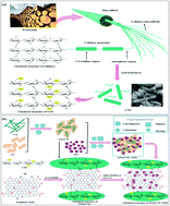 Graphical abstract: Photocatalytic and antibacterial activity of graphene oxide/cellulose-doped TiO2 quantum dots: in silico molecular docking studies