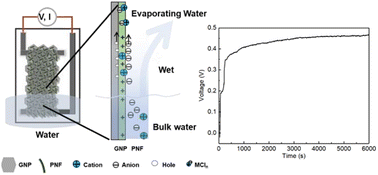 Graphical abstract: Ionovoltaic electricity generation over graphene-nanoplatelets: protein-nanofibril hybrid materials