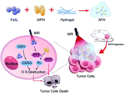 Graphical abstract: Nanozyme hydrogel for enhanced alkyl radical generation and potent antitumor therapy