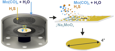 Graphical abstract: Wafer-scale MoS2 with water-vapor assisted showerhead MOCVD