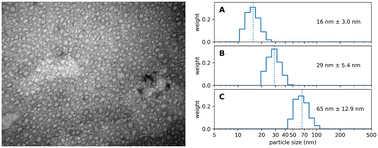 Graphical abstract: Albumin-based nanoparticles: small, uniform and reproducible