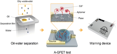 Graphical abstract: Monitoring Cd2+ in oily wastewater using an aptamer-graphene field-effect transistor with a selective wetting surface