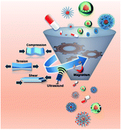 Graphical abstract: Recent advances in mechanical force-responsive drug delivery systems